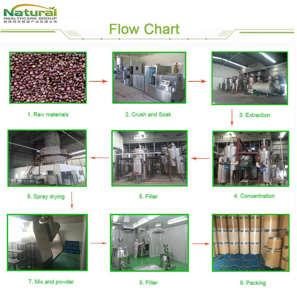 flow chart-1