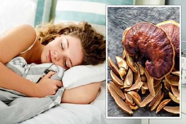 Bolehkah Cendawan Reishi Meningkatkan Tidur?