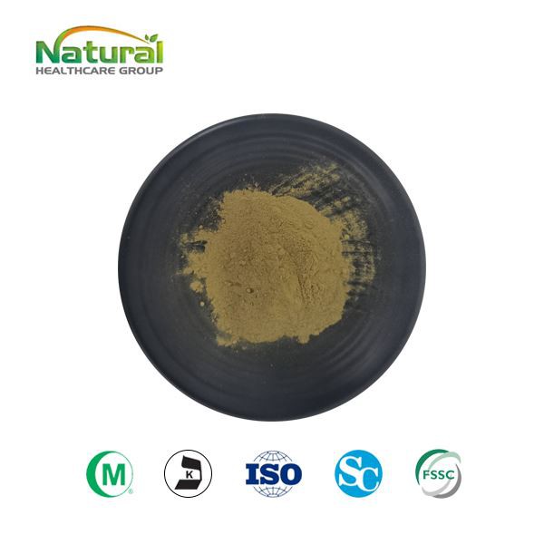 Biji Kopi Hijau Ekstrak Asid Chlorogenic 5%-50%