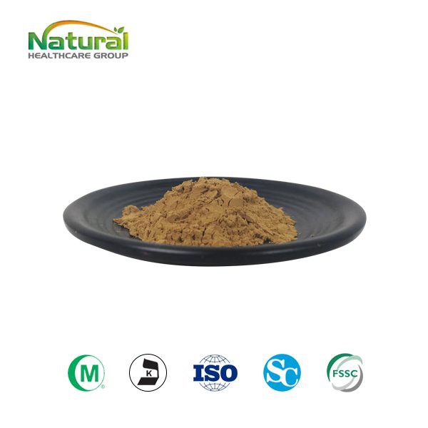 Serbuk Pukal Ginkgo Biloba