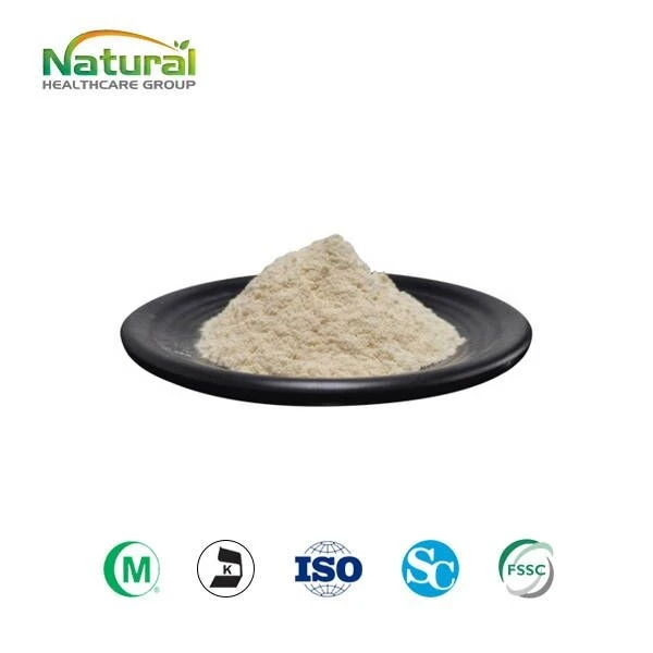 Sheep Placenta Lyophilized Powder